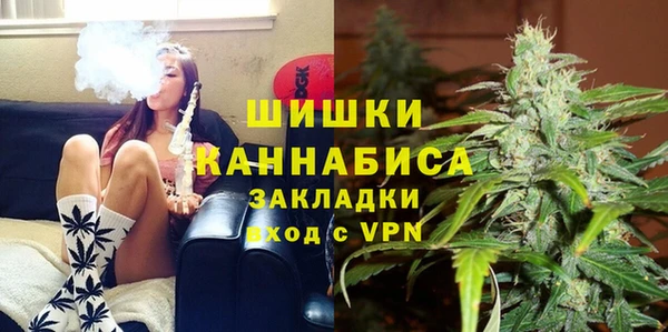 дмт Горнозаводск