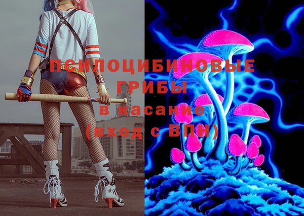 дмт Горнозаводск