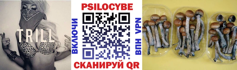 сколько стоит  Дзержинский  Псилоцибиновые грибы мицелий 
