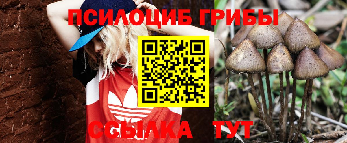 ГАШИШ  ГАШИШ  МЕФ   Амфетамин   ТГК  Дзержинский  Бошки Шишки  Кокаин  Вход с VPN 